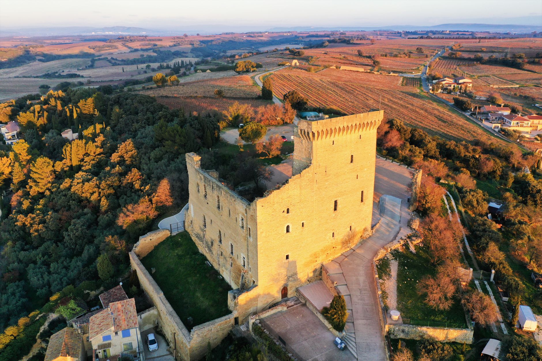 Château français et vignobles en Provence